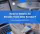 How to Delete All Emails from One Sender?
